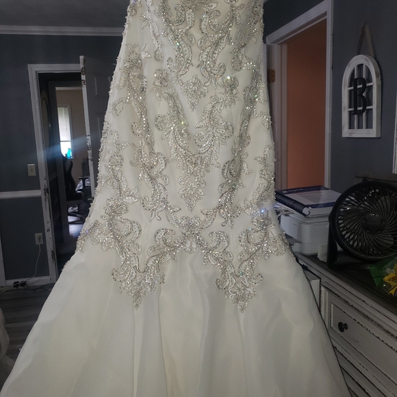 Maggie Sottero Wedding gown - Picture 9 of 9